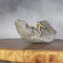 Load and play video in Gallery viewer, Septarian Geode Wedge - Flourescent Crystal Mineral
