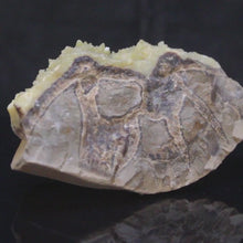 Load and play video in Gallery viewer, Septarian Crystal - Rich Dark Yellow - Fluoresces
