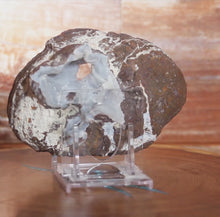 Load and play video in Gallery viewer, Blue Dugway Open Back Geode Fluoresces

