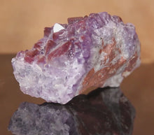 Load and play video in Gallery viewer, Canadian Amethyst - Dusty Cap Canadian
