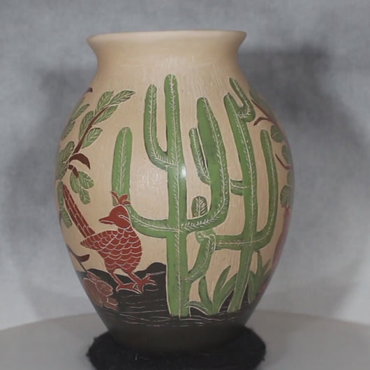 Video of pottery