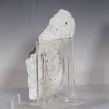 Load and play video in Gallery viewer, Tamp Bay Geode Coral Open Chamber
