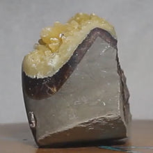 Load and play video in Gallery viewer, Septarian Nodule - Unspoiled Crystal Mineral
