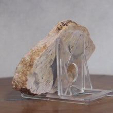 Load and play video in Gallery viewer, Fossil Dinosaur Coprolite Cross Section - Beige Feces
