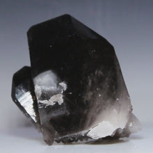 Load and play video in Gallery viewer, video Black Smoky Quartz - Piggy Back Points
