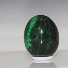 Load and play video in Gallery viewer, Malachite Crystal Egg - Prominent Eye
