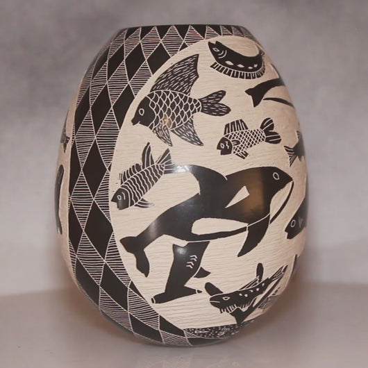 Mata Ortiz Pottery Black & White Sea Life