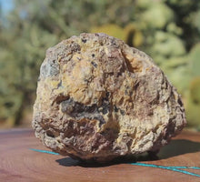 Load and play video in Gallery viewer, Oregon Thunderegg - Friend Ranch - Open Chamber
