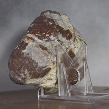 Load and play video in Gallery viewer, Blue Dugway Open Geode Fluorescent Green
