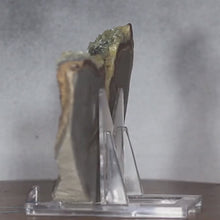 Load and play video in Gallery viewer, Septarian Wedge - Unspoiled Crystal Mineral
