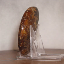 Load and play video in Gallery viewer, Ammonite Cleoniceras - Molten Yellow Oak Leaf Sutures
