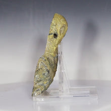 Load and play video in Gallery viewer, Tamp Bay Geode Coral Agate Half
