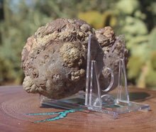 Load and play video in Gallery viewer, Double Fused Oregon Thunderegg - Friend Ranch
