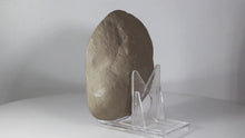 Load and play video in Gallery viewer, Septarian Display Geode - Golden Calcite Crystal
