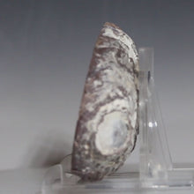 Load and play video in Gallery viewer, Dugway Geode w/ Deep Crystal Lined Chasm
