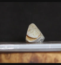 Load and play video in Gallery viewer, Oregon Chalcedony Open Geode
