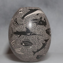 Load and play video in Gallery viewer, Video Black on White Etched Sea Life Mata Ortiz Pottery
