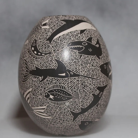 Video Black on White Etched Sea Life Mata Ortiz Pottery