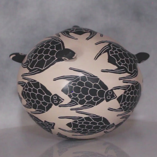 Video of 3 Dimensional Tortoises Southwest Pottery