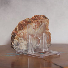 Load and play video in Gallery viewer, Fossil Dinosaur Coprolite Feces Cross Section - Orange Beige
