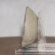 Load and play video in Gallery viewer, Septarian Geode End - Galactic Limbs of Gold Calcite
