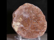 Load and play video in Gallery viewer, Round Fossil Dino Feces - Rust Red Coprolite
