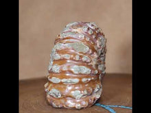 Load and play video in Gallery viewer, Douvilleiceras Ammonite - Rust Red
