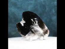Load and play video in Gallery viewer, Black Smoky Quartz - 2 Prominent Points - Heavy Dusting of Crystals
