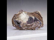 Load and play video in Gallery viewer, video
