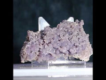 Load and play video in Gallery viewer, Druzy Soft Lavender Grape Agate - Packed Tight

