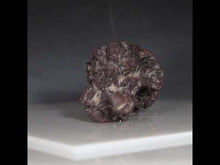 Load and play video in Gallery viewer, Madagascar Fossil Tortoise Poop
