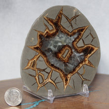Load image into Gallery viewer, Septarian Geode - Nebula Dark Calcite Crystalization
