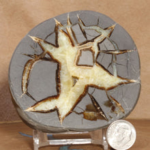 Load image into Gallery viewer, Septarian Display Geode - Utah USA - Fine Open Chamber
