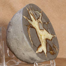 Load image into Gallery viewer, Septarian Display Geode - Utah USA - Fine Open Chamber
