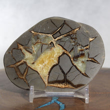 Load image into Gallery viewer, Septarian Geode End - Pool of Gold Calcite
