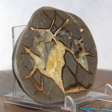 Load image into Gallery viewer, Septarian Geode End - Pool of Gold Calcite
