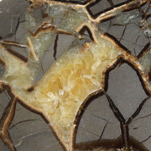 Load image into Gallery viewer, Septarian Geode End - Pool of Gold Calcite

