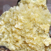 Load image into Gallery viewer, Septarian Geode Section - Mound of Molten Yellow Crystals
