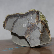 Load image into Gallery viewer, Septarian Geode Piece - Raw Dark Yellow - Fluoresces
