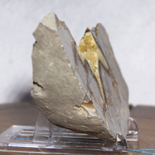 Load image into Gallery viewer, Septarian Geode Wedge - Flourescent Crystal Mineral
