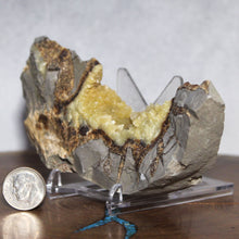 Load image into Gallery viewer, Septarian Geode Wedge - Flourescent Crystal Mineral
