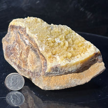 Load image into Gallery viewer, Septarian Crystal - Rich Dark Yellow - Fluoresces
