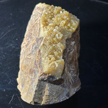 Load image into Gallery viewer, Septarian Crystal - Rich Dark Yellow - Fluoresces
