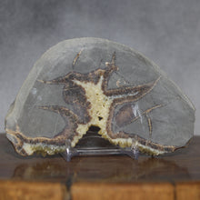 Load image into Gallery viewer, Septarian Wedge - Unspoiled Crystal Mineral
