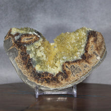 Load image into Gallery viewer, Septarian Wedge - Unspoiled Crystal Mineral
