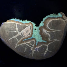 Load image into Gallery viewer, Septarian Wedge - Unspoiled Crystal Mineral
