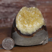 Load image into Gallery viewer, Septarian Nodule - Unspoiled Crystal Mineral
