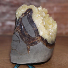 Load image into Gallery viewer, Septarian Nodule - Unspoiled Crystal Mineral
