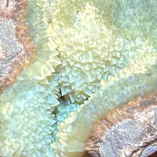 Load image into Gallery viewer, Septarian Geode Sectionl - Tight Packed Crystal Clusters
