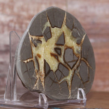 Load image into Gallery viewer, Septarian Geode End - Unsurpassed Crystalline Beauty
